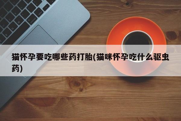 咨询购买正品米非司酮片猫怀孕要吃哪些药打胎(猫咪怀孕吃什么驱虫药)
